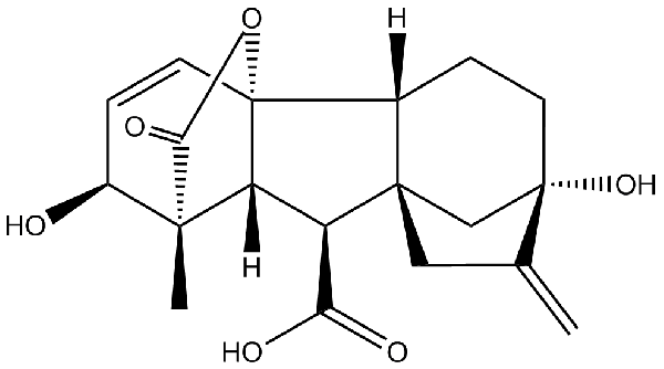 赤霉素GIBBERELLIC ACID，居然有這么神奇？